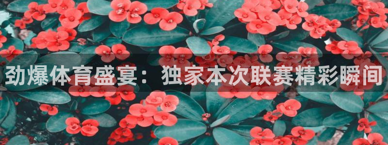 劲爆体育盛宴：独家本次联赛精彩瞬间