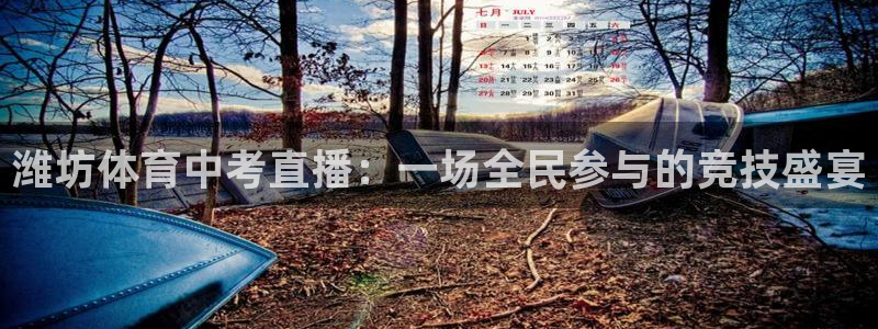 潍坊体育中考直播：一场全民参与的竞技盛宴