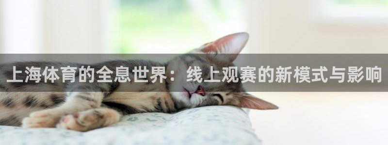 上海体育的全息世界：线上观赛的新模式与影响