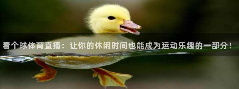 看个球体育直播：让你的休闲时间也能成为运动乐趣的一部分！