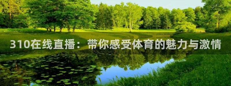310在线直播：带你感受体育的魅力与激情