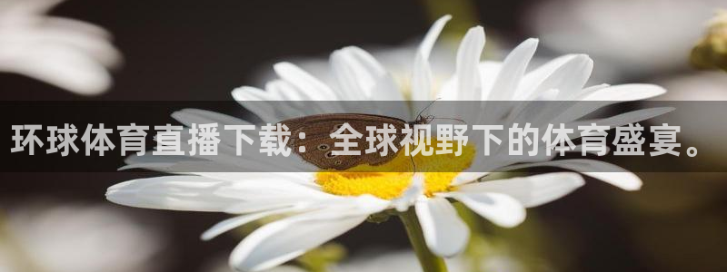 环球体育直播下载：全球视野下的体育盛宴。